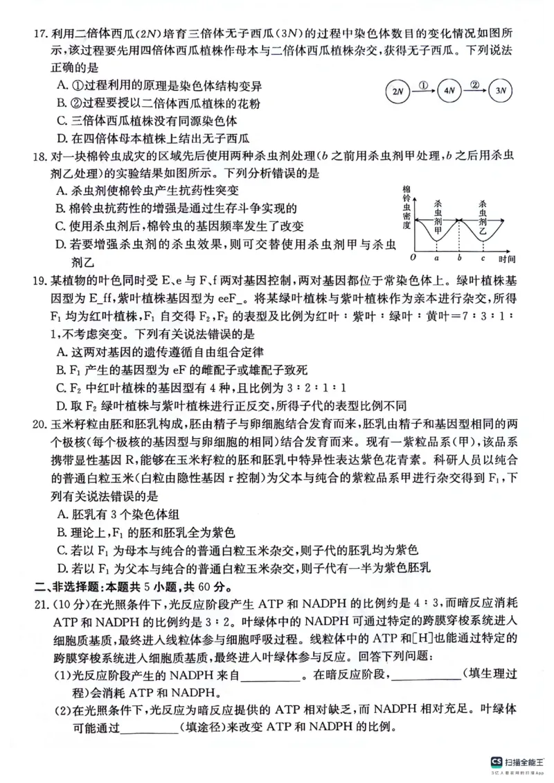 贵州省2024届高三10月金太阳大联考（24-111C）生物(1)_2023年10月_0210月合集_2024届贵州省高三10月金太阳大联考（24-111C）_贵州省2024届高三10月金太阳大联考（24-111C）生物