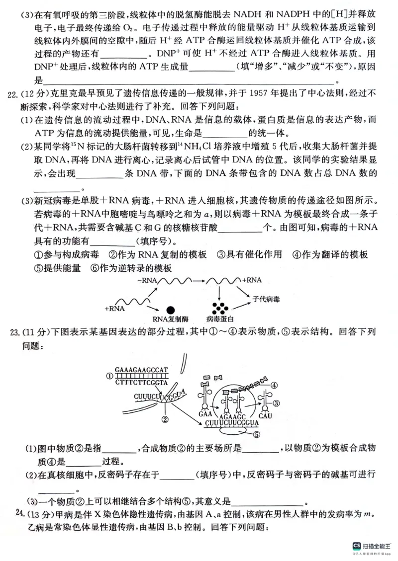 贵州省2024届高三10月金太阳大联考（24-111C）生物(1)_2023年10月_0210月合集_2024届贵州省高三10月金太阳大联考（24-111C）_贵州省2024届高三10月金太阳大联考（24-111C）生物