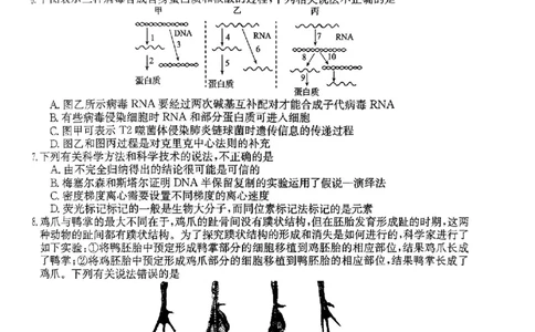 2024届安徽省皖南八校高三下学期4月第三次联考生物+答案(1)_2024年4月_024月合集_2024届安徽省皖南八校高三下学期4月第三次联考