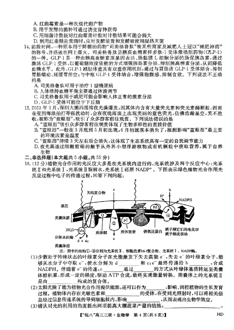 2024届安徽省皖南八校高三下学期4月第三次联考生物+答案(1)_2024年4月_024月合集_2024届安徽省皖南八校高三下学期4月第三次联考