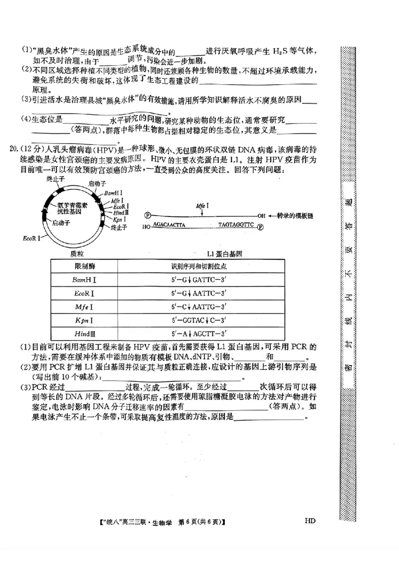 2024届安徽省皖南八校高三下学期4月第三次联考生物+答案(1)_2024年4月_024月合集_2024届安徽省皖南八校高三下学期4月第三次联考