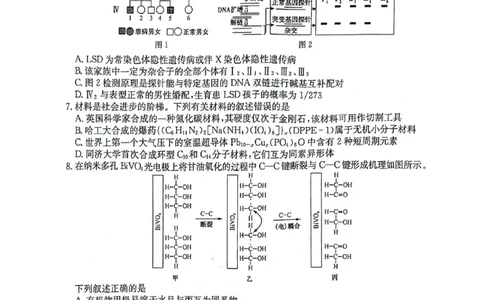 2024届河南省TOP二十名校联考高三年级5月猜题（一）理科综合试卷_2024年5月_01按日期_14号_2024届河南省TOP20名校高三5月联考猜题（一）
