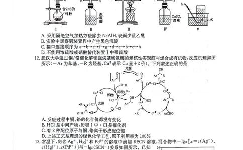 2024届河南省TOP二十名校联考高三年级5月猜题（一）理科综合试卷_2024年5月_01按日期_14号_2024届河南省TOP20名校高三5月联考猜题（一）