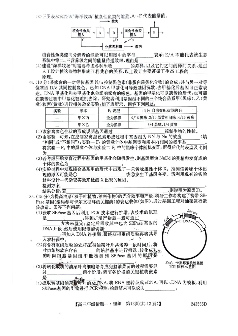 2024届河南省TOP二十名校联考高三年级5月猜题（一）理科综合试卷_2024年5月_01按日期_14号_2024届河南省TOP20名校高三5月联考猜题（一）