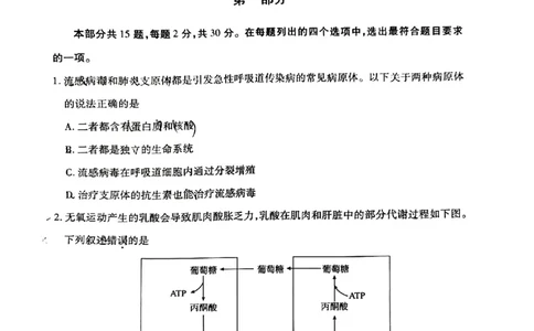 2024北京丰台高三一模生物试题及答案(1)_2024年4月_024月合集_2024届北京市丰台区高三下学期一模考试