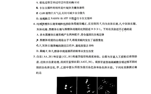 2024北京丰台高三一模生物试题及答案(1)_2024年4月_024月合集_2024届北京市丰台区高三下学期一模考试