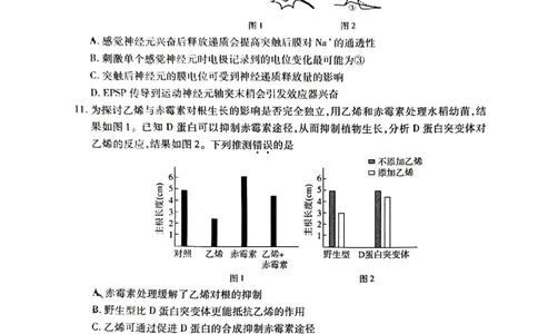 2024北京丰台高三一模生物试题及答案(1)_2024年4月_024月合集_2024届北京市丰台区高三下学期一模考试