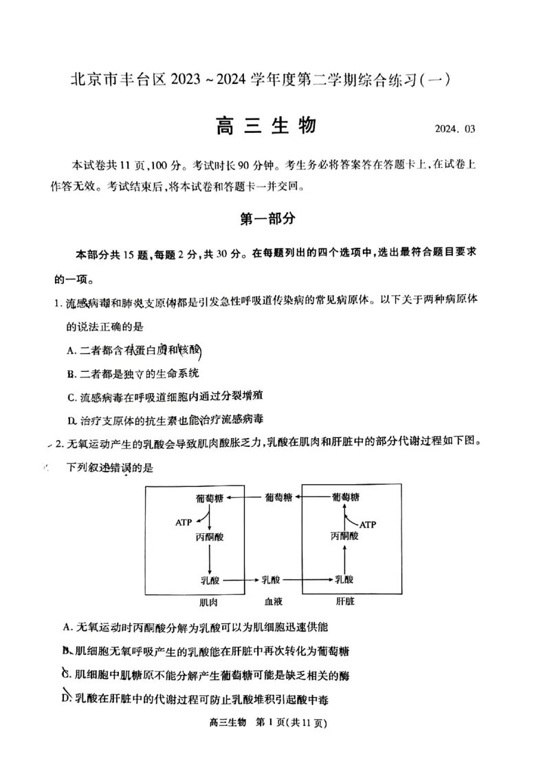 2024北京丰台高三一模生物试题及答案(1)_2024年4月_024月合集_2024届北京市丰台区高三下学期一模考试