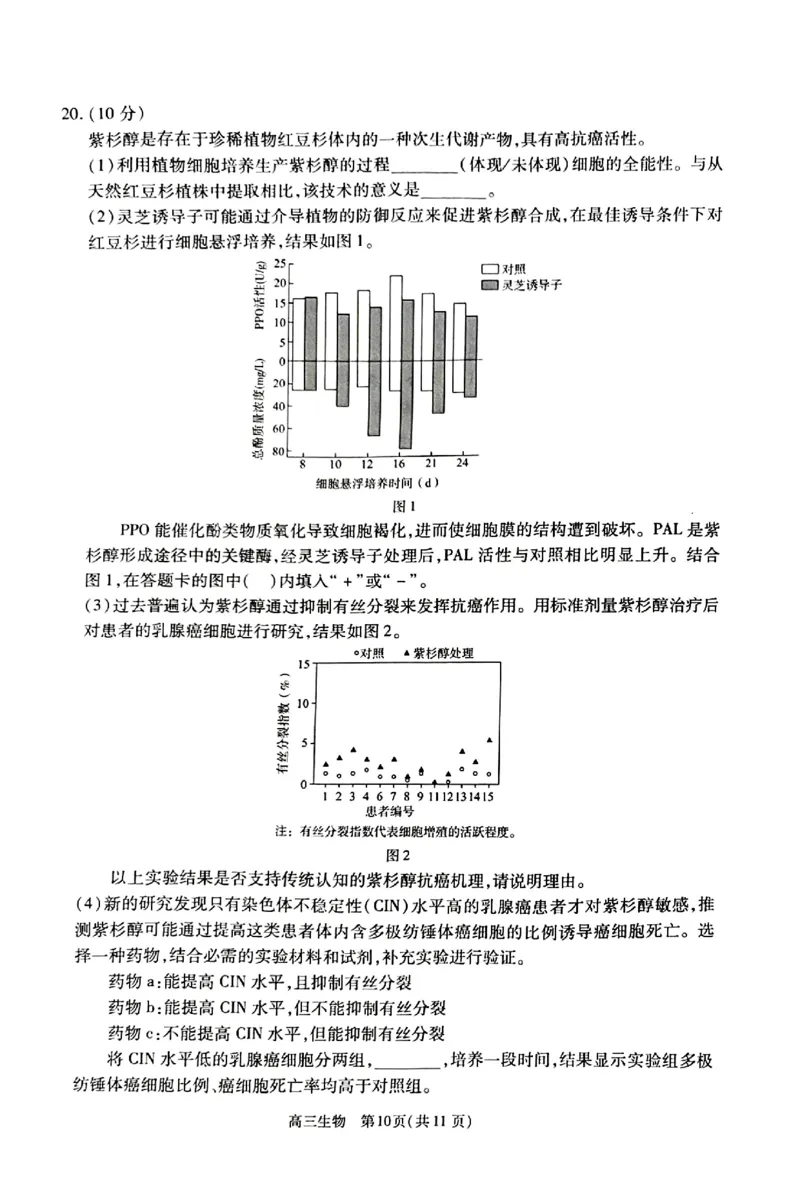 2024北京丰台高三一模生物试题及答案(1)_2024年4月_024月合集_2024届北京市丰台区高三下学期一模考试