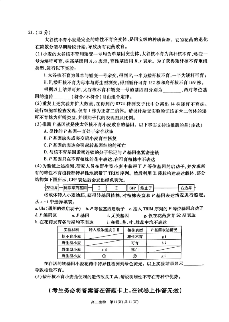 2024北京丰台高三一模生物试题及答案(1)_2024年4月_024月合集_2024届北京市丰台区高三下学期一模考试