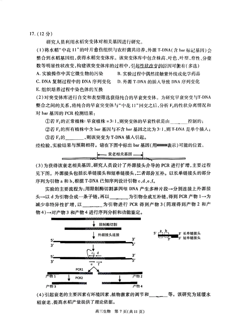 2024北京丰台高三一模生物试题及答案(1)_2024年4月_024月合集_2024届北京市丰台区高三下学期一模考试