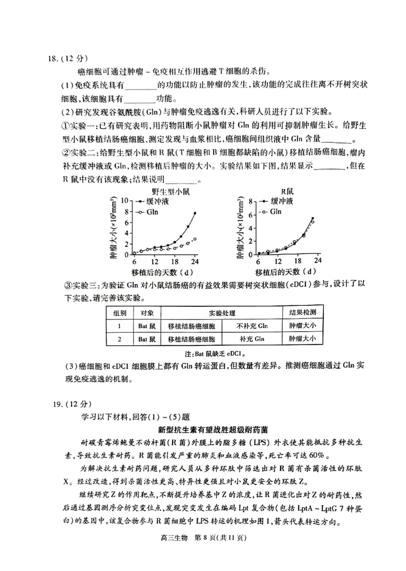 2024北京丰台高三一模生物试题及答案(1)_2024年4月_024月合集_2024届北京市丰台区高三下学期一模考试