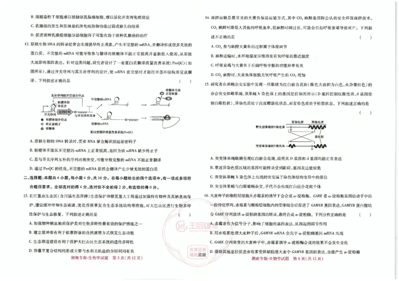 王后雄生物湖南专版_2024高考押题卷_22024王hou雄_（新高考）2024王后雄押题预测卷（分科版）_6.生物