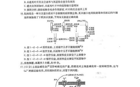 2023-2024学年江西省高三年级二轮复习阶段性检测生物试卷_2024年3月_02按日期_16号_2024届江西稳派上进联考高三年级二轮复习阶段性测试
