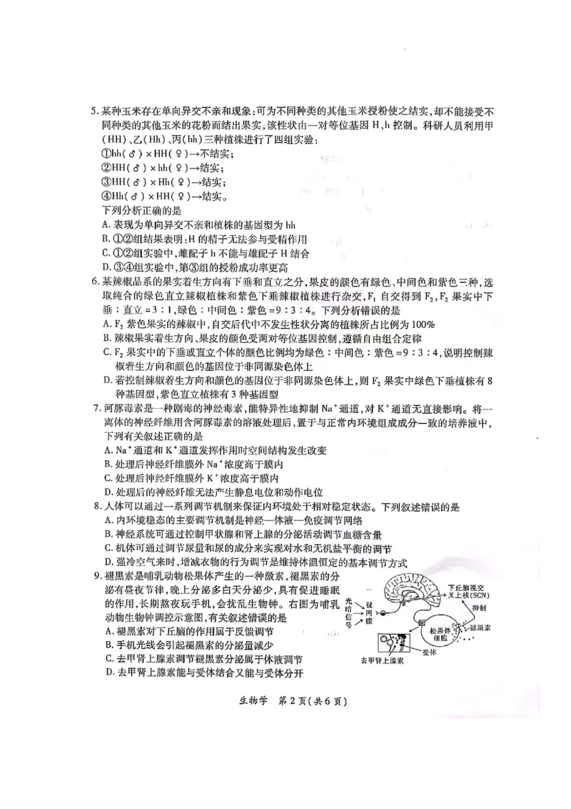 2023-2024学年江西省高三年级二轮复习阶段性检测生物试卷_2024年3月_02按日期_16号_2024届江西稳派上进联考高三年级二轮复习阶段性测试