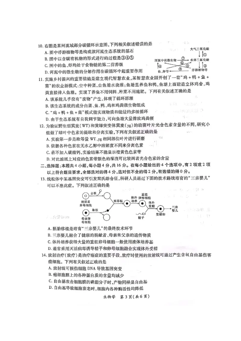 2023-2024学年江西省高三年级二轮复习阶段性检测生物试卷_2024年3月_02按日期_16号_2024届江西稳派上进联考高三年级二轮复习阶段性测试