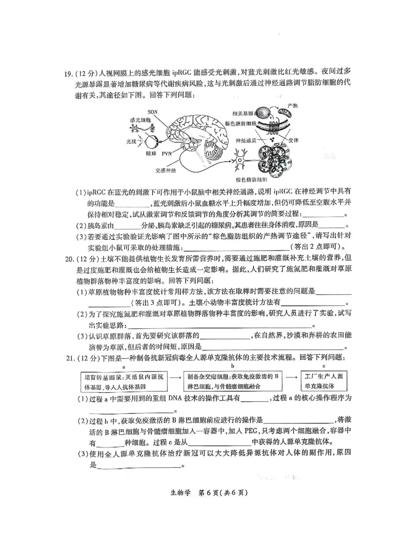 2023-2024学年江西省高三年级二轮复习阶段性检测生物试卷_2024年3月_02按日期_16号_2024届江西稳派上进联考高三年级二轮复习阶段性测试