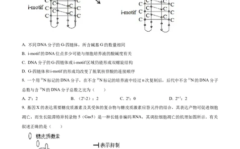 精品解析：山东省菏泽市鄄城县一中2023-2024学年高三10月月考生物试题（原卷版）(1)_2023年10月_0210月合集_2024届山东省菏泽市鄄城县第一中学高三上学期10月月考