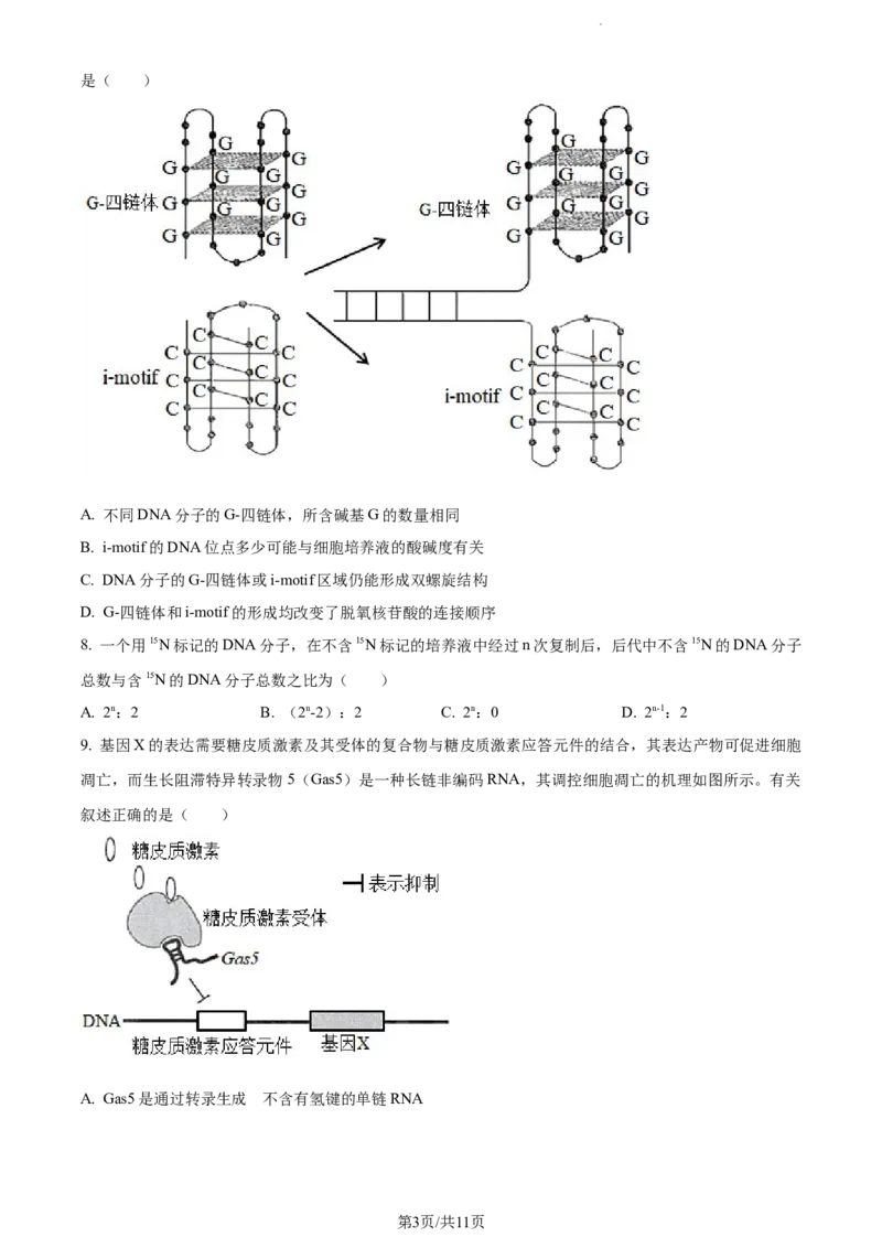 精品解析：山东省菏泽市鄄城县一中2023-2024学年高三10月月考生物试题（原卷版）(1)_2023年10月_0210月合集_2024届山东省菏泽市鄄城县第一中学高三上学期10月月考