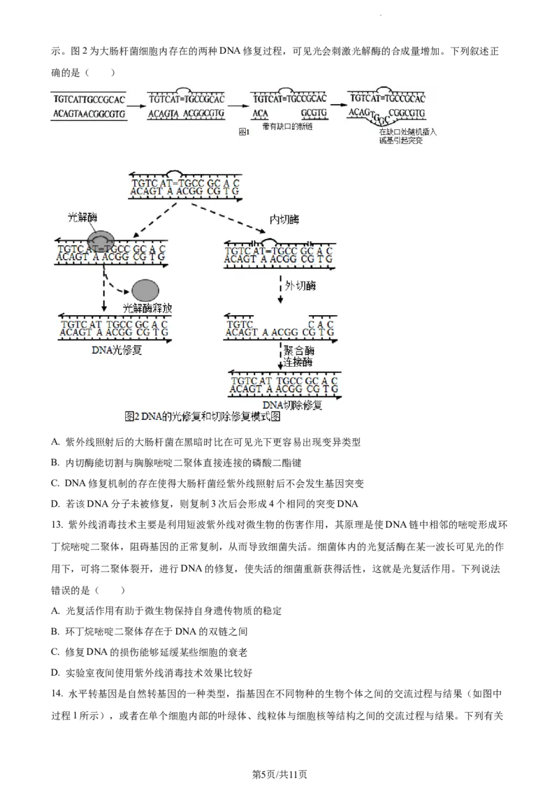 精品解析：山东省菏泽市鄄城县一中2023-2024学年高三10月月考生物试题（原卷版）(1)_2023年10月_0210月合集_2024届山东省菏泽市鄄城县第一中学高三上学期10月月考
