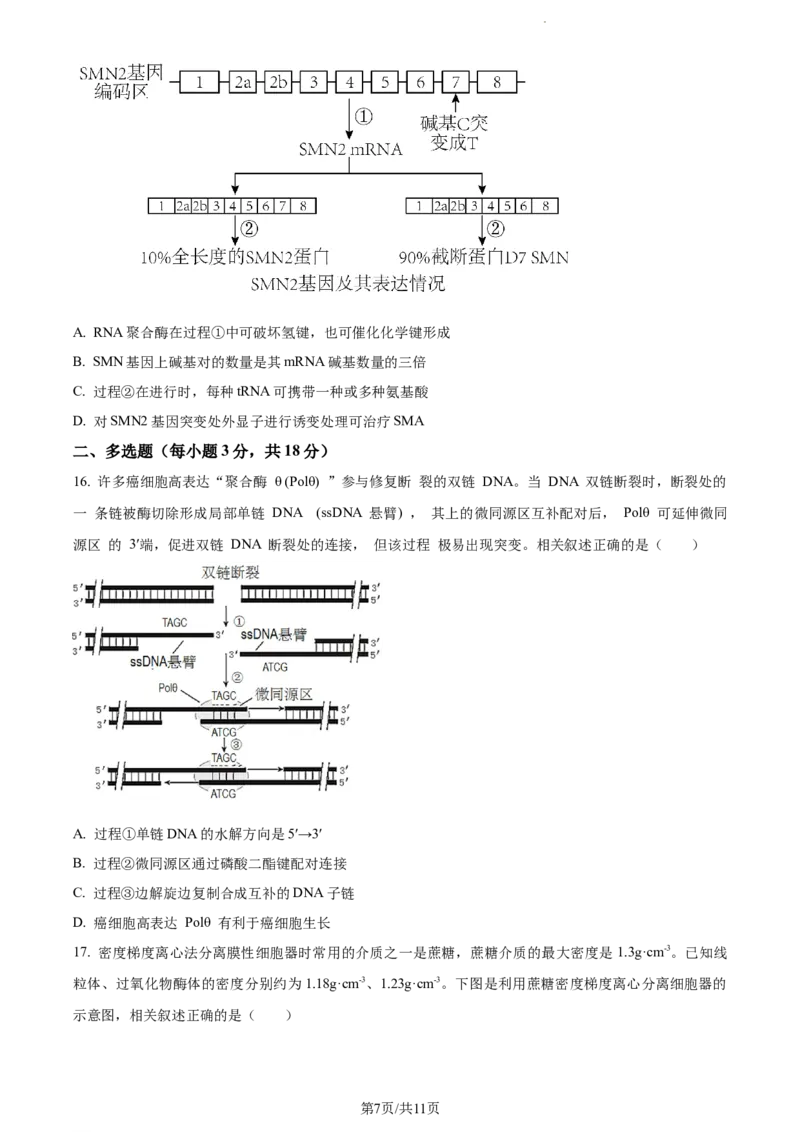精品解析：山东省菏泽市鄄城县一中2023-2024学年高三10月月考生物试题（原卷版）(1)_2023年10月_0210月合集_2024届山东省菏泽市鄄城县第一中学高三上学期10月月考