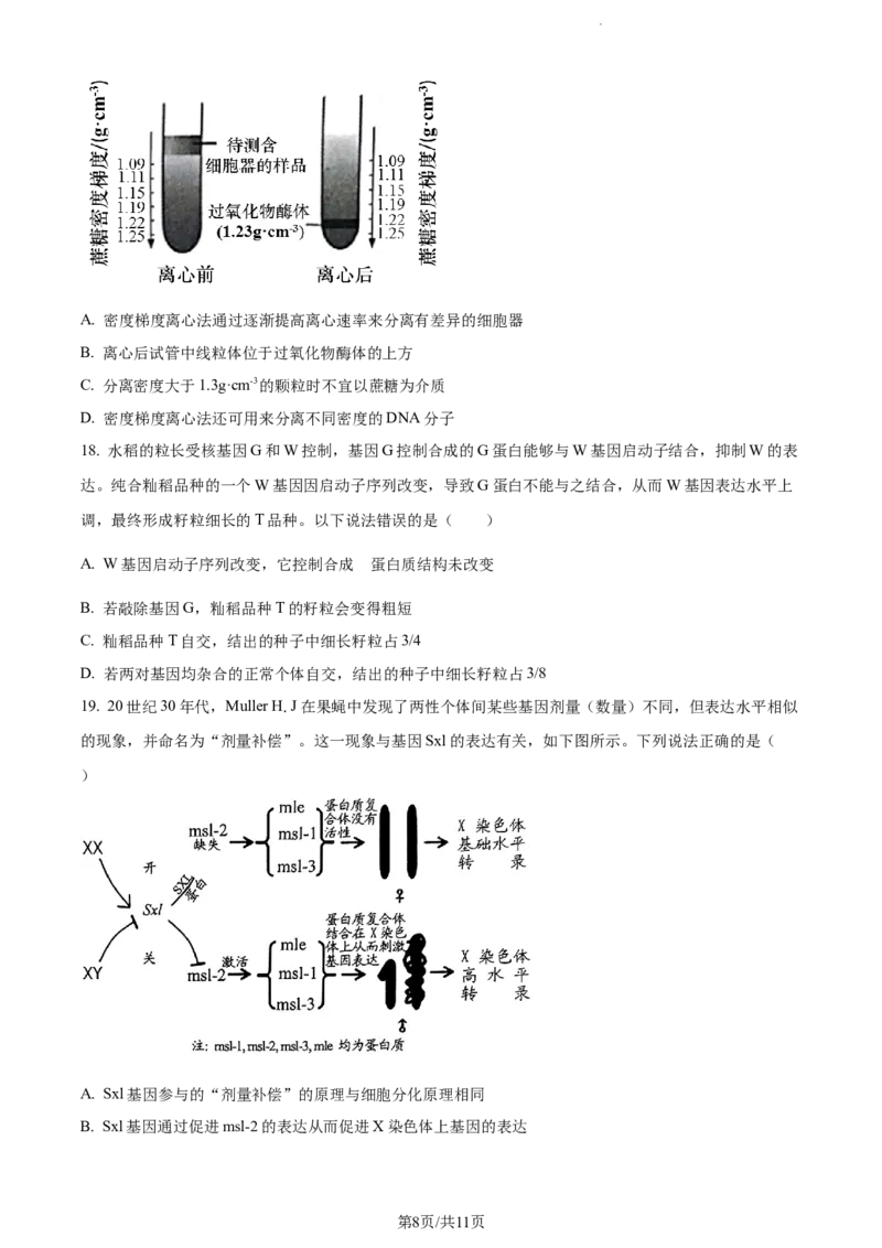精品解析：山东省菏泽市鄄城县一中2023-2024学年高三10月月考生物试题（原卷版）(1)_2023年10月_0210月合集_2024届山东省菏泽市鄄城县第一中学高三上学期10月月考