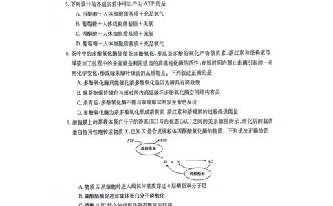 江西省部分高中学校2024届高三9月大联考生物试卷(1)_2023年9月_029月合集_2024届江西省部分高中学校高三9月大联考