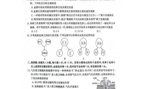 江西省部分高中学校2024届高三9月大联考生物试卷(1)_2023年9月_029月合集_2024届江西省部分高中学校高三9月大联考