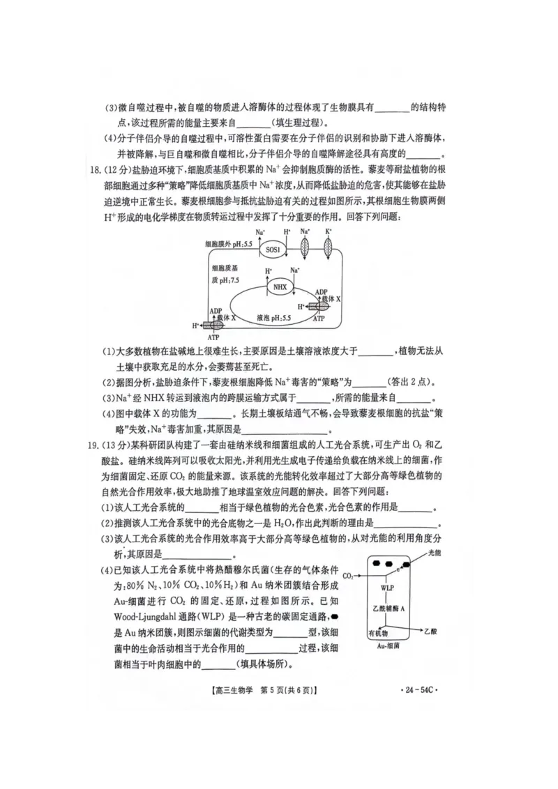 江西省部分高中学校2024届高三9月大联考生物试卷(1)_2023年9月_029月合集_2024届江西省部分高中学校高三9月大联考