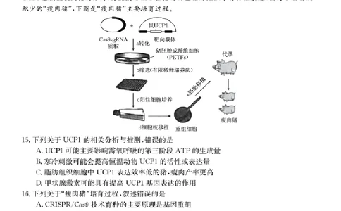 浙江强基联盟2023学年第一学期高三年级9月联考生物(1)_2023年9月_029月合集_2024届浙江强基联盟高三上学期9月联考