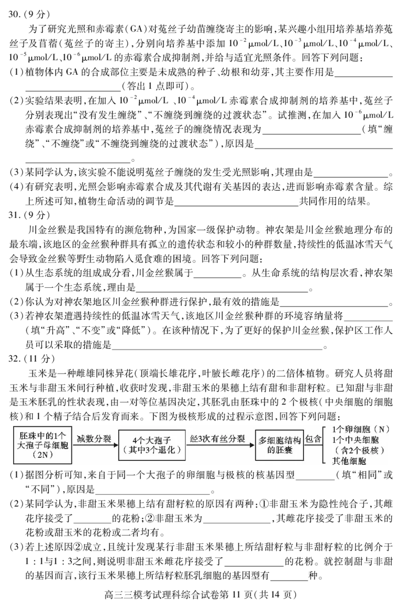 2024届四川省内江市高中高三下学期第三次模拟考试理科综合试题+答案(1)_2024年5月_025月合集_2024届四川省内江市高中高三下学期第三次模拟考试