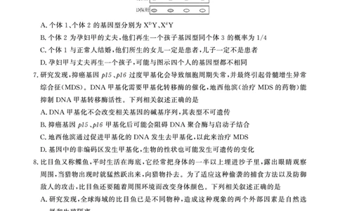 生物学试卷(1)_2023年10月_0210月合集_2024届安徽省皖东智校协作联盟高三上学期10月联考_安徽省皖东智校协作联盟2024届高三上学期10月联考生物