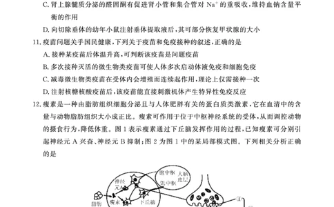 生物学试卷(1)_2023年10月_0210月合集_2024届安徽省皖东智校协作联盟高三上学期10月联考_安徽省皖东智校协作联盟2024届高三上学期10月联考生物