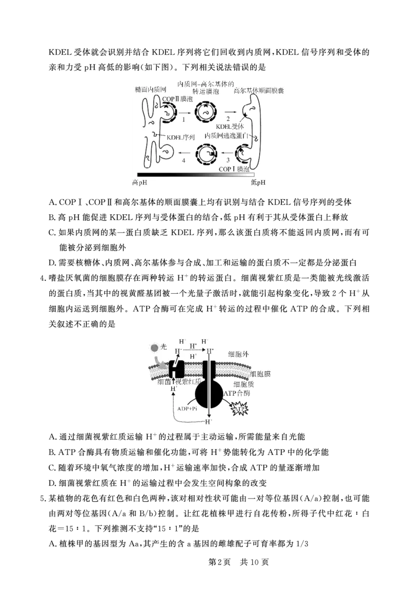 生物学试卷(1)_2023年10月_0210月合集_2024届安徽省皖东智校协作联盟高三上学期10月联考_安徽省皖东智校协作联盟2024届高三上学期10月联考生物