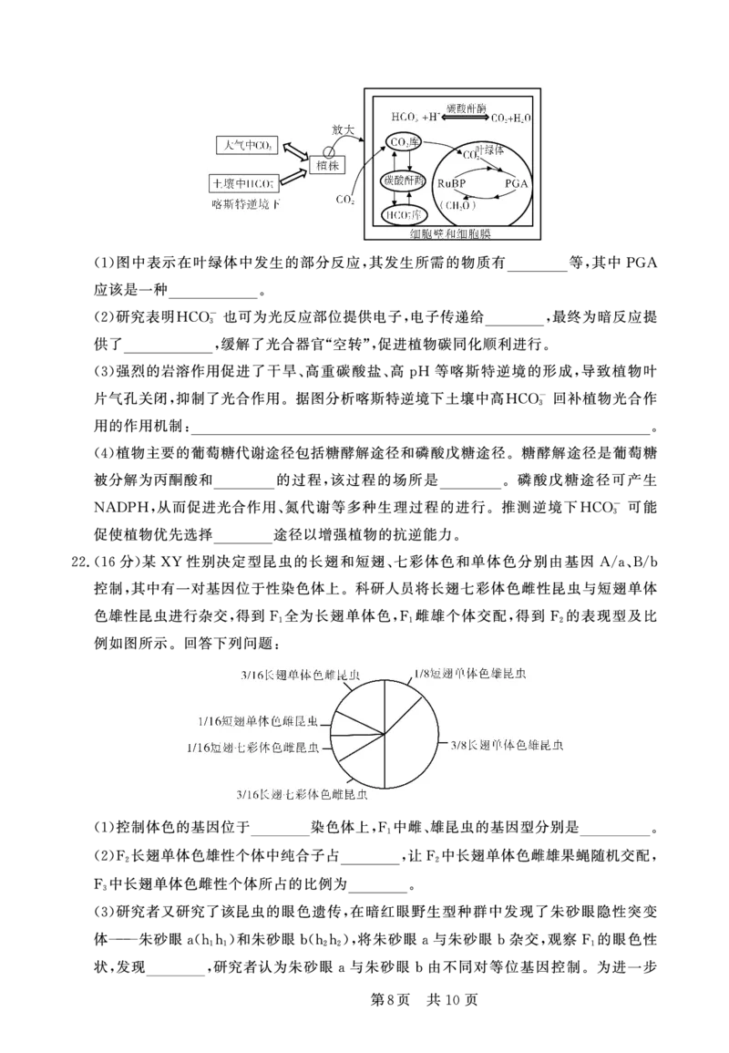 生物学试卷(1)_2023年10月_0210月合集_2024届安徽省皖东智校协作联盟高三上学期10月联考_安徽省皖东智校协作联盟2024届高三上学期10月联考生物