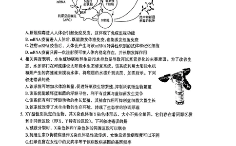 2024届河南省济洛平许四市高三下学期第三次质量检测（三模）理综试题_2024年3月_013月合集_2024届河南省济洛平许四市高三3月第三次质量检测
