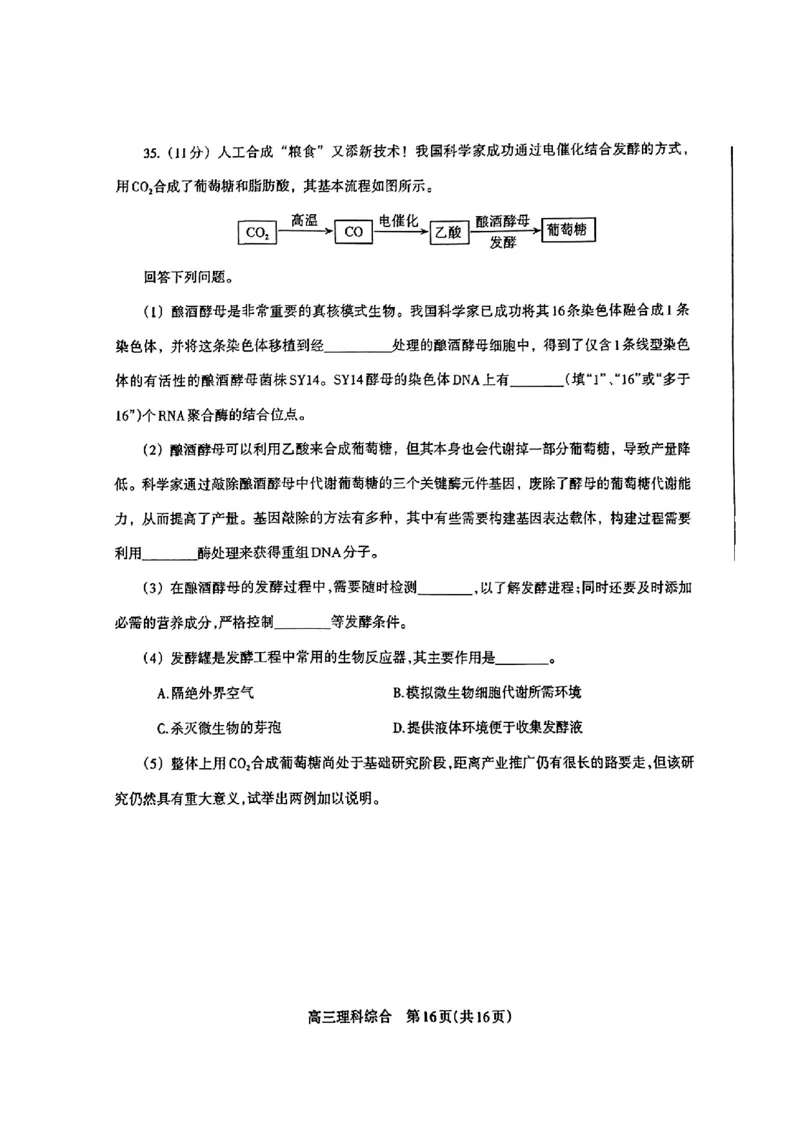 2024届河南省济洛平许四市高三下学期第三次质量检测（三模）理综试题_2024年3月_013月合集_2024届河南省济洛平许四市高三3月第三次质量检测