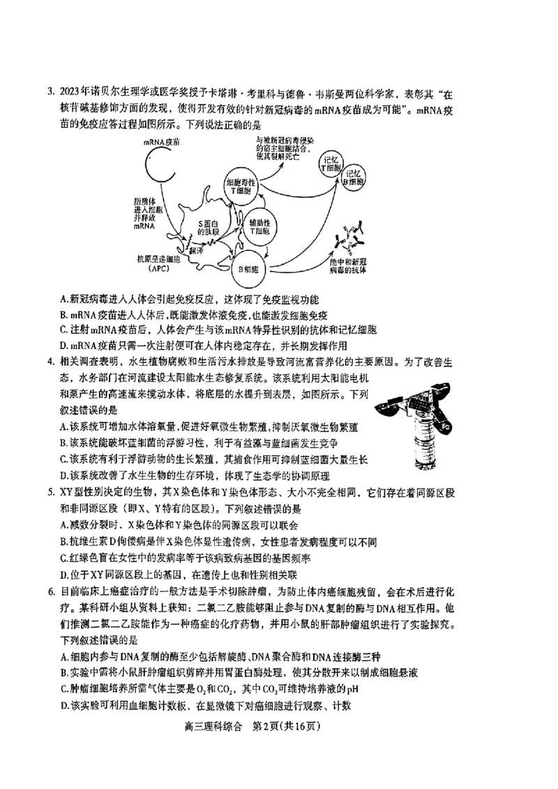 2024届河南省济洛平许四市高三下学期第三次质量检测（三模）理综试题_2024年3月_013月合集_2024届河南省济洛平许四市高三3月第三次质量检测
