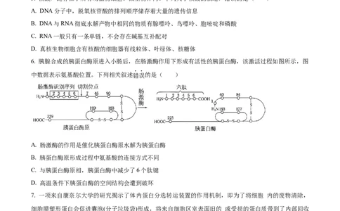 精品解析：四川省成都市石室中学2023-2024学年高三上学期开学生物试题（原卷版）_2023年9月_01每日更新_3号_2024届四川省成都市石室中学高三上学期开学考试