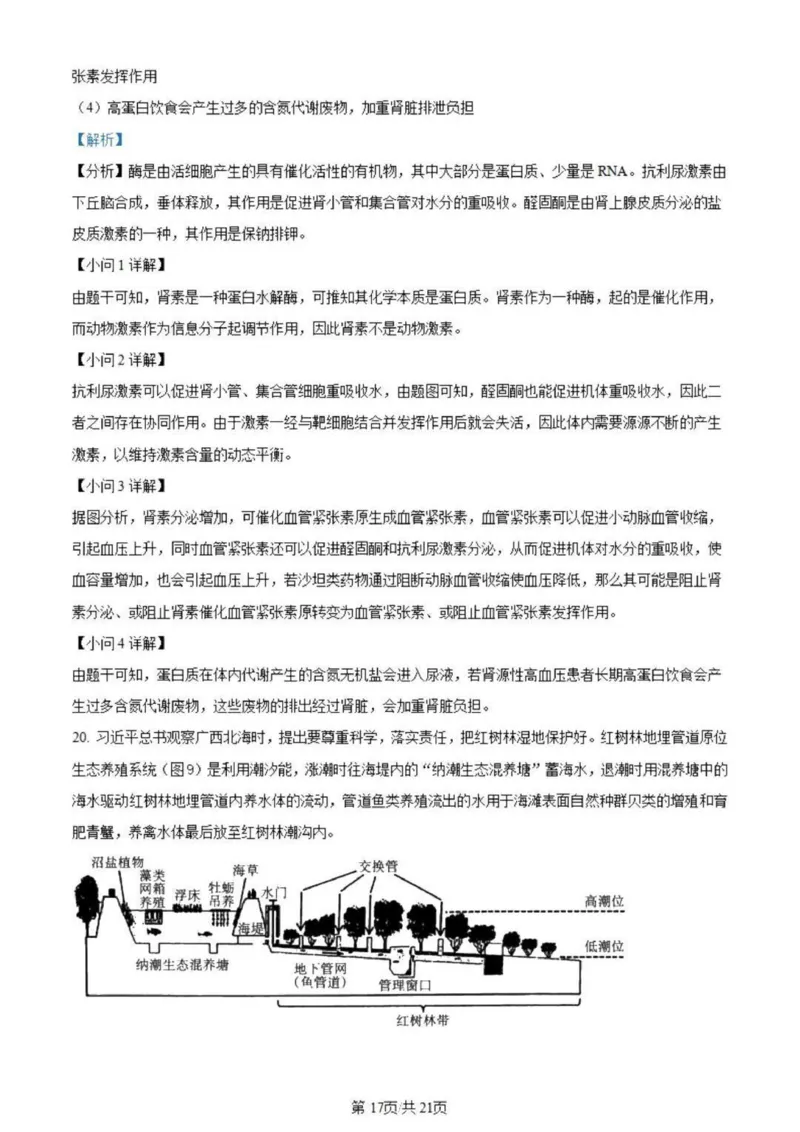 虎山中学高三上(开学考)-生物试题+答案(1)_2023年9月_029月合集_2024届广东省梅州市大埔县虎山中学高三上学期开学