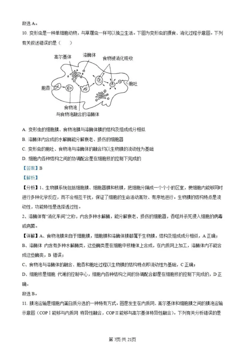 虎山中学高三上(开学考)-生物试题+答案(1)_2023年9月_029月合集_2024届广东省梅州市大埔县虎山中学高三上学期开学