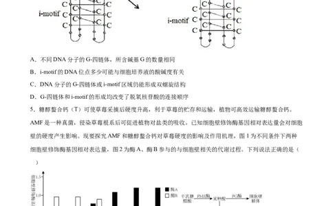 生物（辽宁卷）（考试版）_2023高考押题卷_学易金卷-2023学科网押题卷（各科各版本）_2023学科网押题卷-学易金卷-生物_生物（辽宁卷）-学易金卷：2023年高考生物考前押题密卷