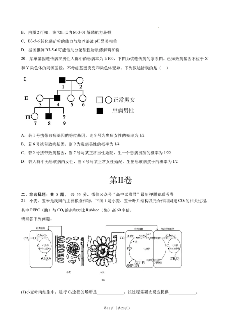 生物（辽宁卷）（考试版）_2023高考押题卷_学易金卷-2023学科网押题卷（各科各版本）_2023学科网押题卷-学易金卷-生物_生物（辽宁卷）-学易金卷：2023年高考生物考前押题密卷