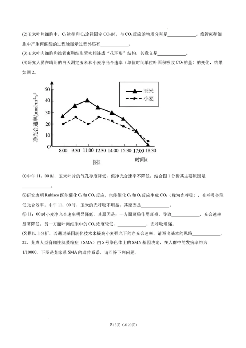 生物（辽宁卷）（考试版）_2023高考押题卷_学易金卷-2023学科网押题卷（各科各版本）_2023学科网押题卷-学易金卷-生物_生物（辽宁卷）-学易金卷：2023年高考生物考前押题密卷
