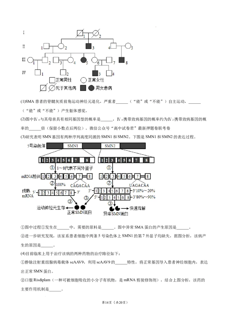 生物（辽宁卷）（考试版）_2023高考押题卷_学易金卷-2023学科网押题卷（各科各版本）_2023学科网押题卷-学易金卷-生物_生物（辽宁卷）-学易金卷：2023年高考生物考前押题密卷