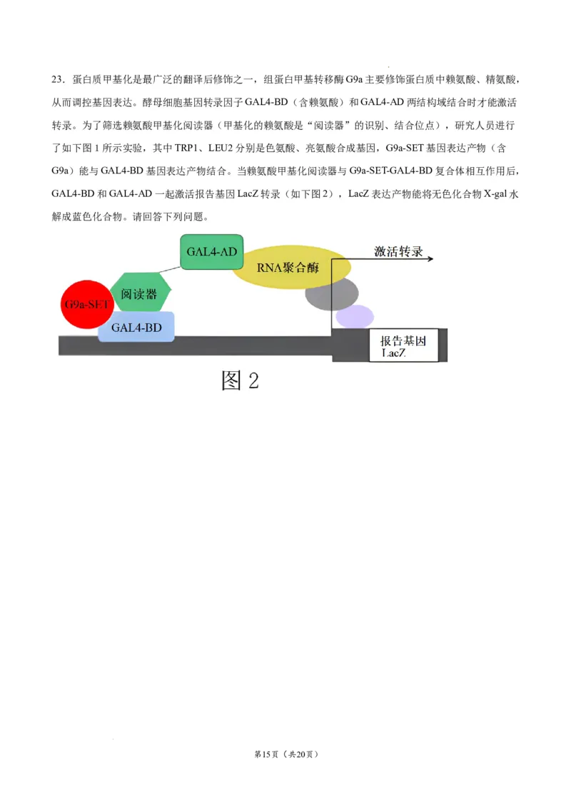 生物（辽宁卷）（考试版）_2023高考押题卷_学易金卷-2023学科网押题卷（各科各版本）_2023学科网押题卷-学易金卷-生物_生物（辽宁卷）-学易金卷：2023年高考生物考前押题密卷