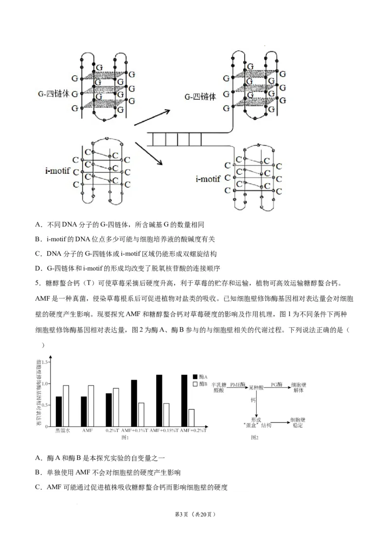 生物（辽宁卷）（考试版）_2023高考押题卷_学易金卷-2023学科网押题卷（各科各版本）_2023学科网押题卷-学易金卷-生物_生物（辽宁卷）-学易金卷：2023年高考生物考前押题密卷