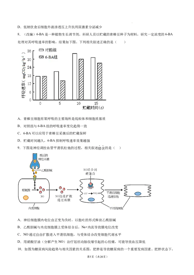 生物（辽宁卷）（考试版）_2023高考押题卷_学易金卷-2023学科网押题卷（各科各版本）_2023学科网押题卷-学易金卷-生物_生物（辽宁卷）-学易金卷：2023年高考生物考前押题密卷