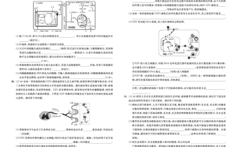 江苏省2024届高三年级第一学期期初学情调研迎考卷-生物_2023年9月_01每日更新_12号_2024届江苏省高三上学期期初学情调研迎考_江苏省2024届高三上学期期初学情调研迎考生物