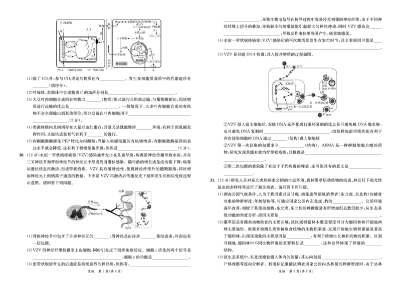 江苏省2024届高三年级第一学期期初学情调研迎考卷-生物_2023年9月_01每日更新_12号_2024届江苏省高三上学期期初学情调研迎考_江苏省2024届高三上学期期初学情调研迎考生物